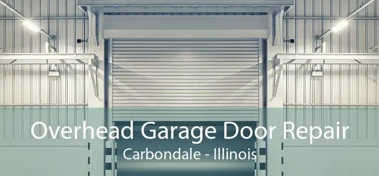 Overhead Garage Door Repair Carbondale - Illinois