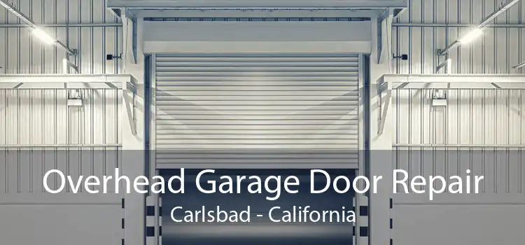 Overhead Garage Door Repair Carlsbad - California
