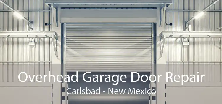 Overhead Garage Door Repair Carlsbad - New Mexico