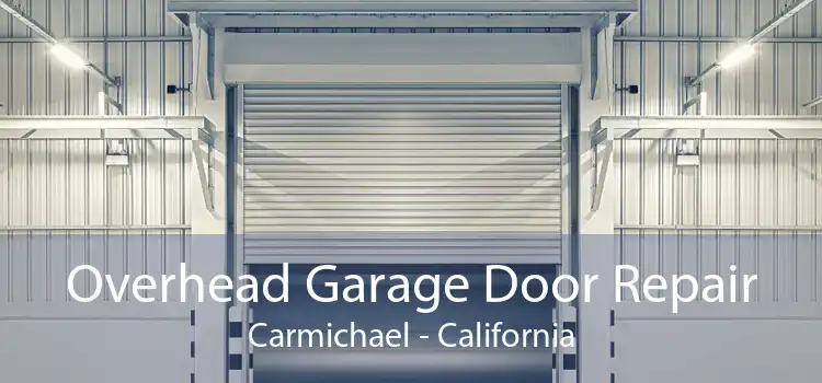 Overhead Garage Door Repair Carmichael - California