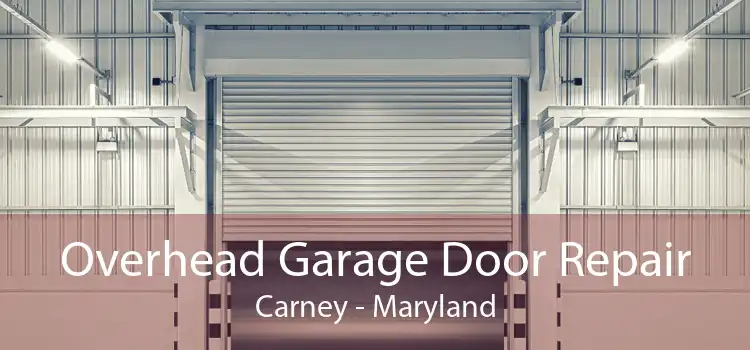 Overhead Garage Door Repair Carney - Maryland