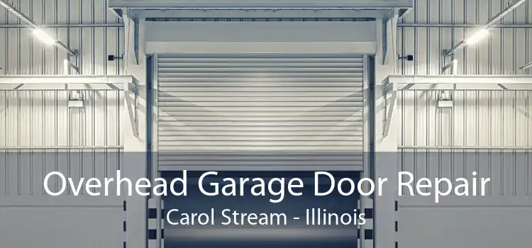 Overhead Garage Door Repair Carol Stream - Illinois
