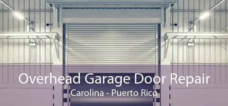 Overhead Garage Door Repair Carolina - Puerto Rico