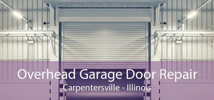 Overhead Garage Door Repair Carpentersville - Illinois