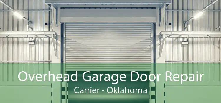 Overhead Garage Door Repair Carrier - Oklahoma