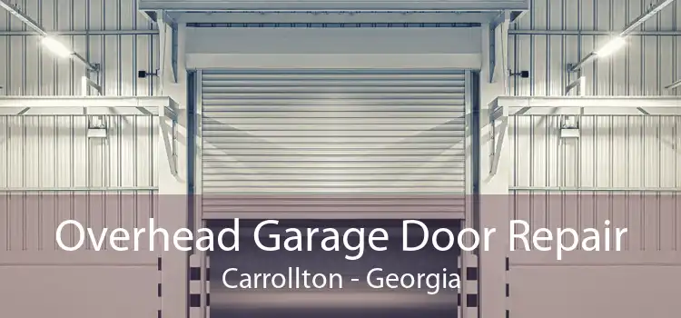 Overhead Garage Door Repair Carrollton - Georgia