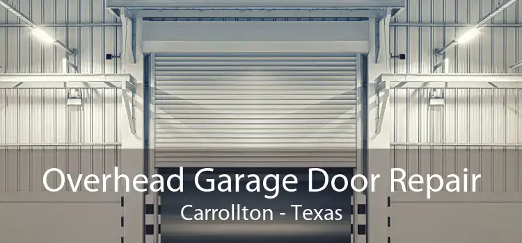 Overhead Garage Door Repair Carrollton - Texas