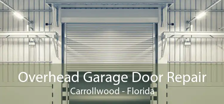 Overhead Garage Door Repair Carrollwood - Florida