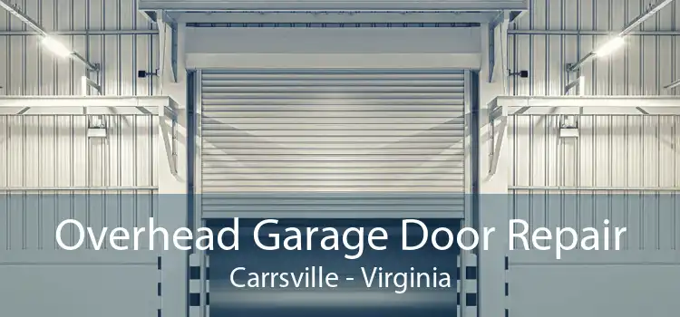 Overhead Garage Door Repair Carrsville - Virginia