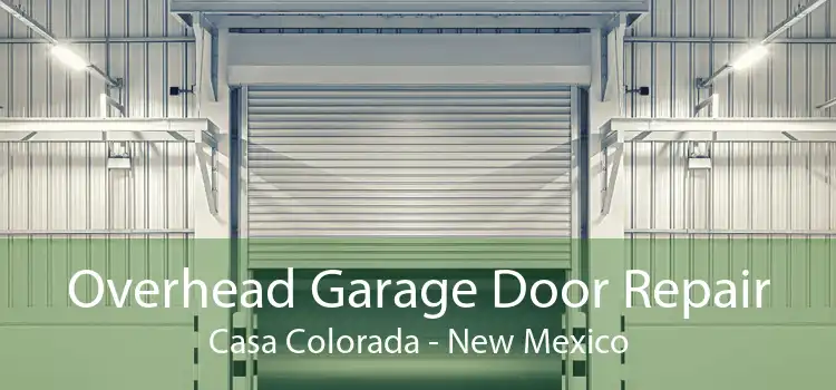 Overhead Garage Door Repair Casa Colorada - New Mexico
