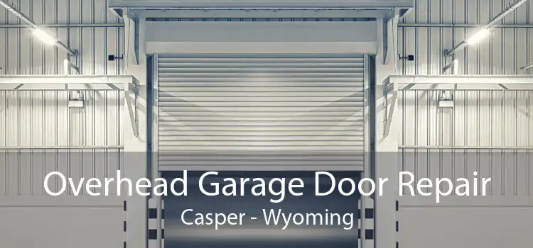 Overhead Garage Door Repair Casper - Wyoming