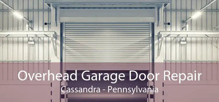 Overhead Garage Door Repair Cassandra - Pennsylvania