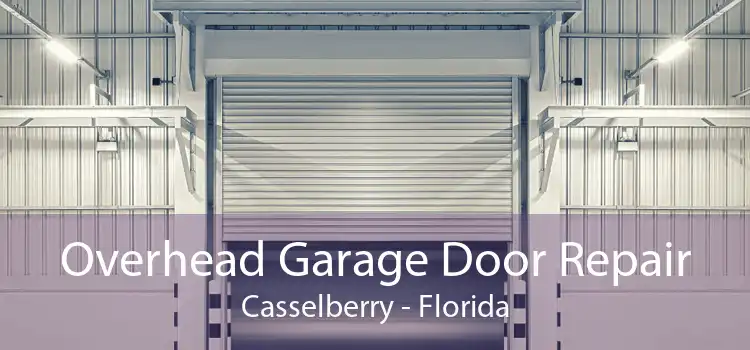 Overhead Garage Door Repair Casselberry - Florida