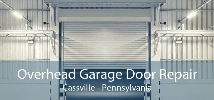 Overhead Garage Door Repair Cassville - Pennsylvania