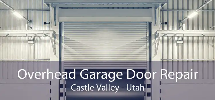 Overhead Garage Door Repair Castle Valley - Utah