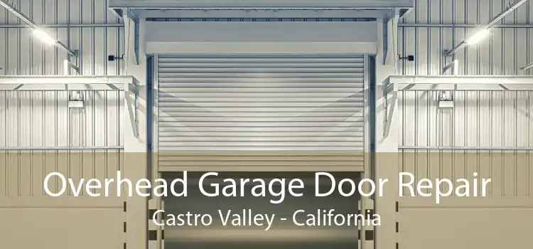 Overhead Garage Door Repair Castro Valley - California