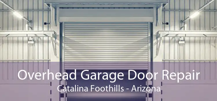 Overhead Garage Door Repair Catalina Foothills - Arizona