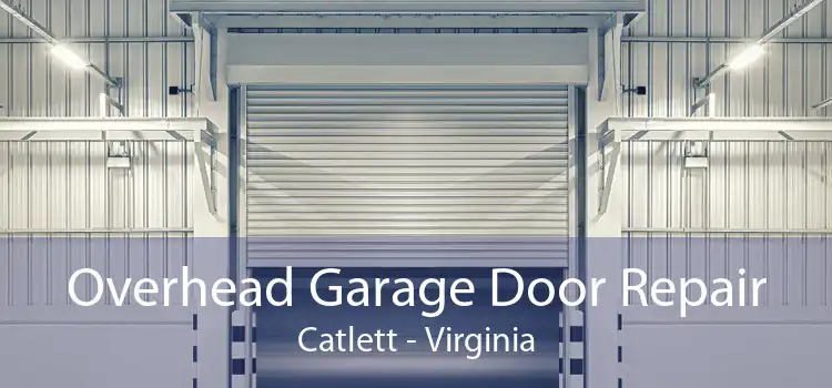 Overhead Garage Door Repair Catlett - Virginia