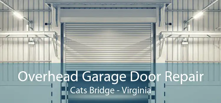 Overhead Garage Door Repair Cats Bridge - Virginia