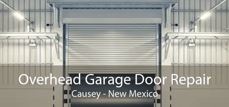 Overhead Garage Door Repair Causey - New Mexico