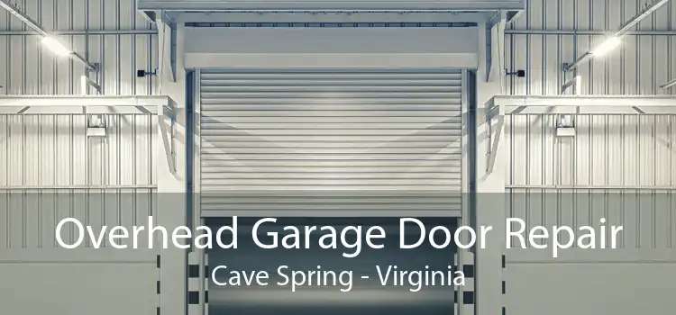 Overhead Garage Door Repair Cave Spring - Virginia