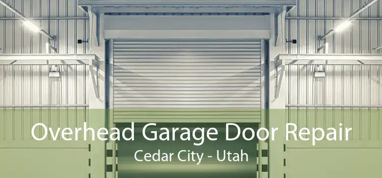 Overhead Garage Door Repair Cedar City - Utah