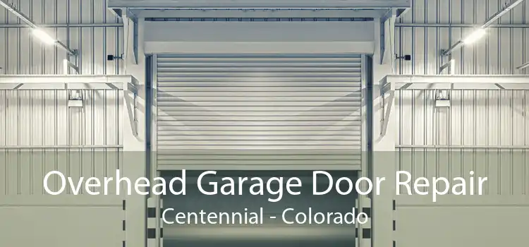 Overhead Garage Door Repair Centennial - Colorado