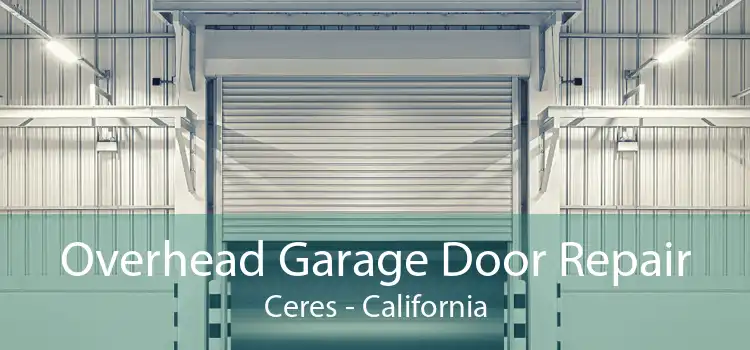 Overhead Garage Door Repair Ceres - California