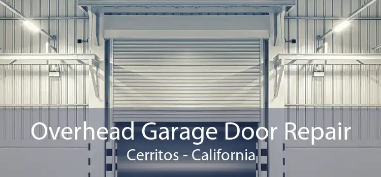 Overhead Garage Door Repair Cerritos - California