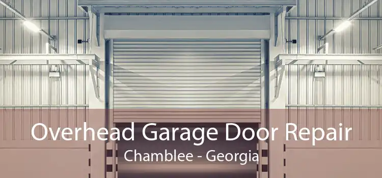 Overhead Garage Door Repair Chamblee - Georgia