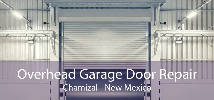Overhead Garage Door Repair Chamizal - New Mexico