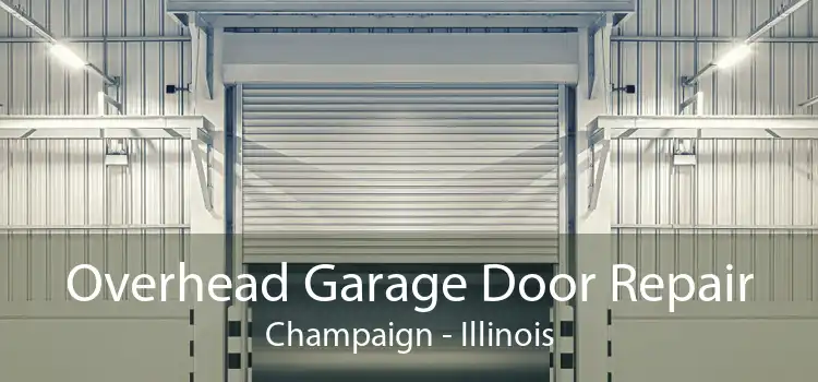 Overhead Garage Door Repair Champaign - Illinois