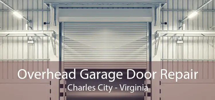 Overhead Garage Door Repair Charles City - Virginia