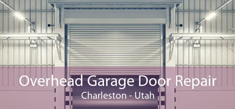 Overhead Garage Door Repair Charleston - Utah