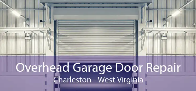 Overhead Garage Door Repair Charleston - West Virginia