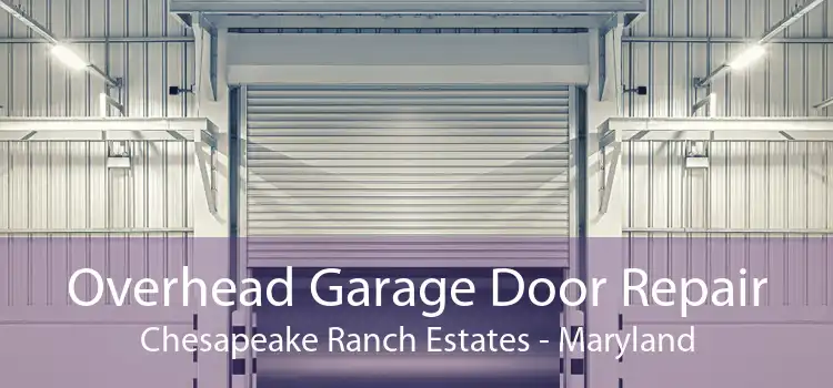 Overhead Garage Door Repair Chesapeake Ranch Estates - Maryland