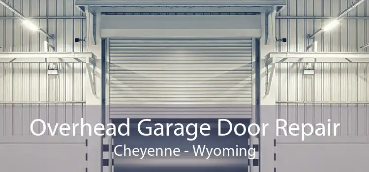 Overhead Garage Door Repair Cheyenne - Wyoming