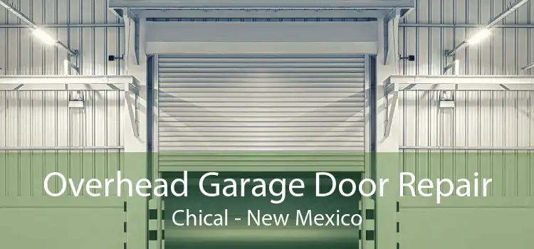 Overhead Garage Door Repair Chical - New Mexico