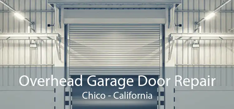 Overhead Garage Door Repair Chico - California