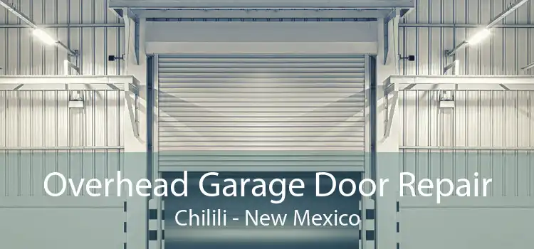 Overhead Garage Door Repair Chilili - New Mexico