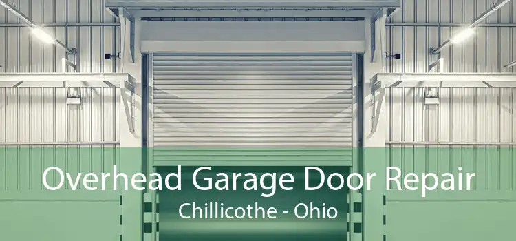 Overhead Garage Door Repair Chillicothe - Ohio