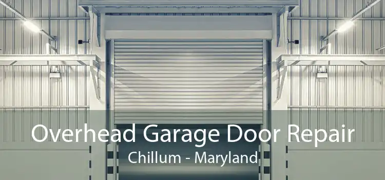 Overhead Garage Door Repair Chillum - Maryland