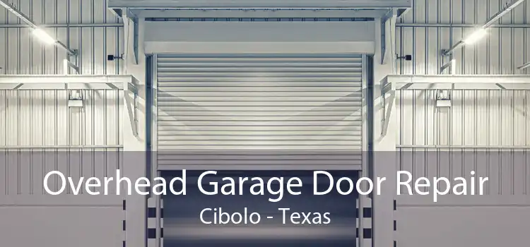 Overhead Garage Door Repair Cibolo - Texas