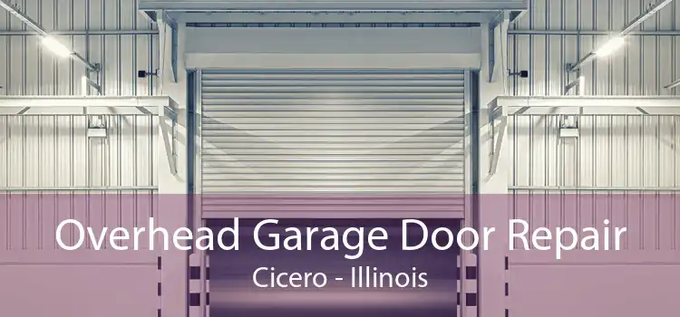Overhead Garage Door Repair Cicero - Illinois