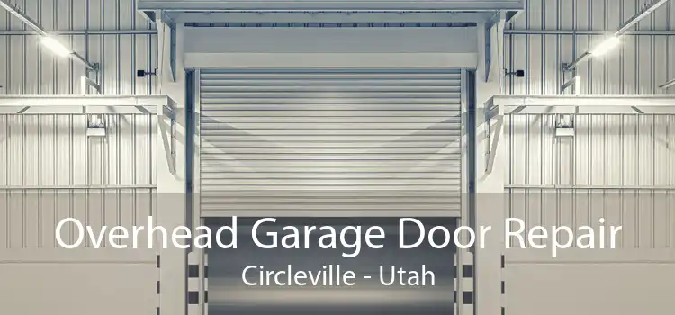 Overhead Garage Door Repair Circleville - Utah