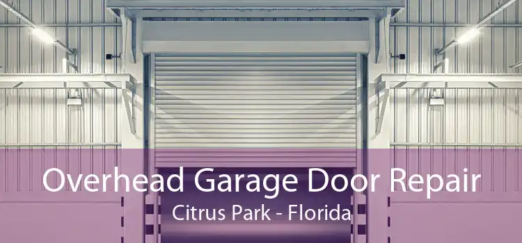 Overhead Garage Door Repair Citrus Park - Florida