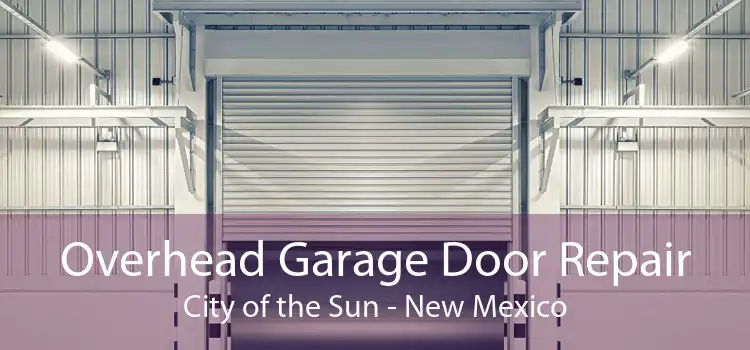 Overhead Garage Door Repair City of the Sun - New Mexico