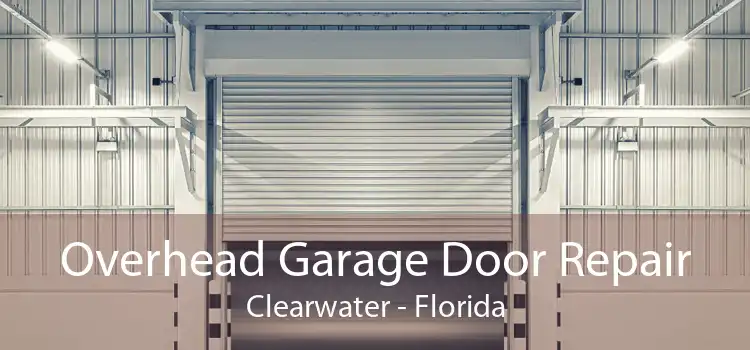 Overhead Garage Door Repair Clearwater - Florida