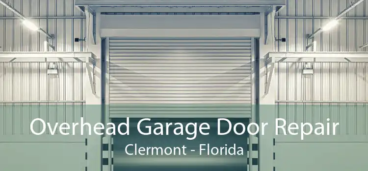 Overhead Garage Door Repair Clermont - Florida