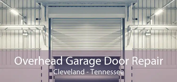 Overhead Garage Door Repair Cleveland - Tennessee